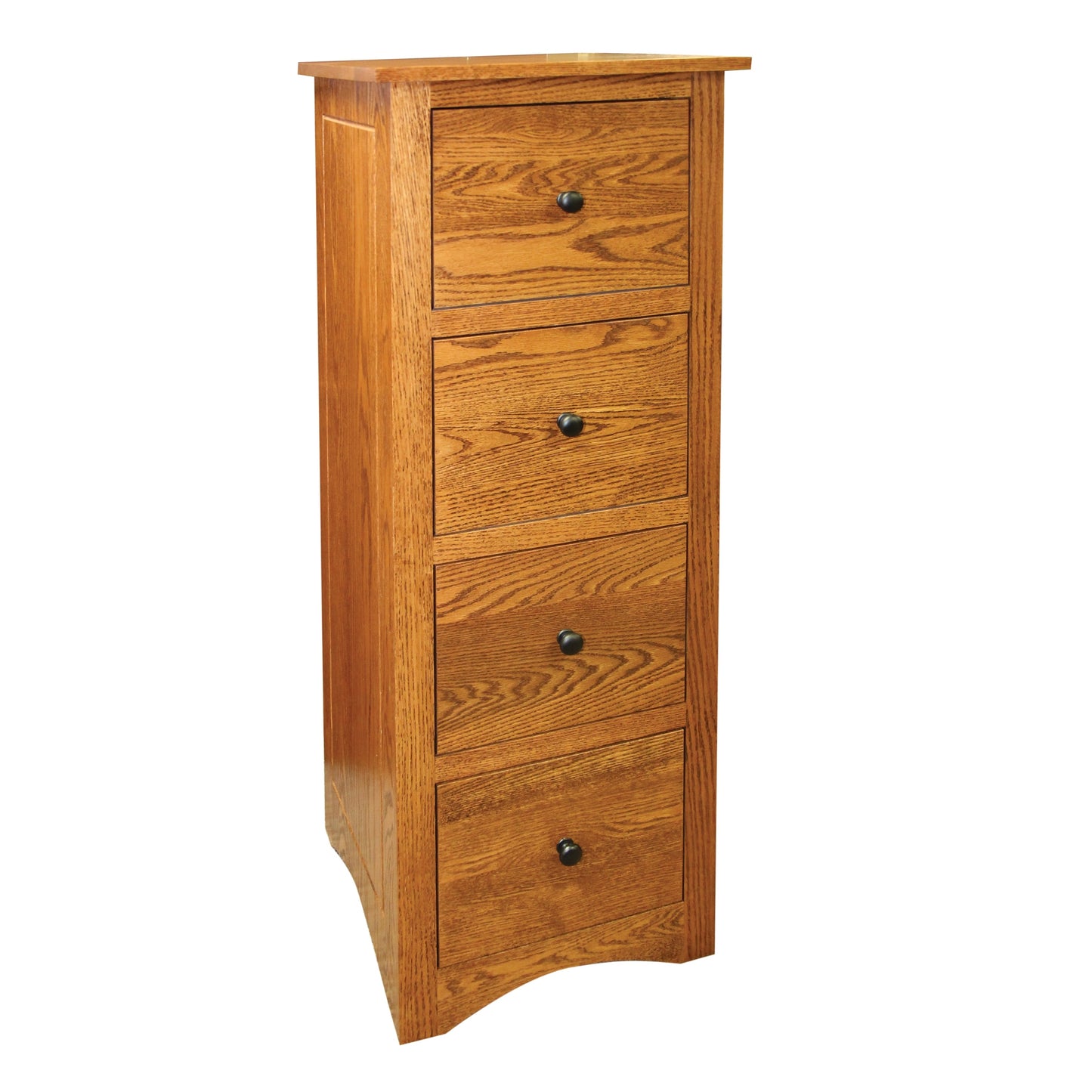 Montana 4D File (holds letter only)