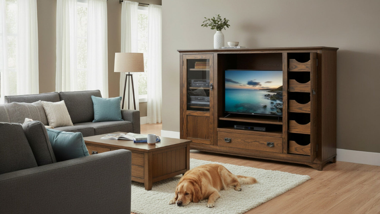 Entertainment Storage