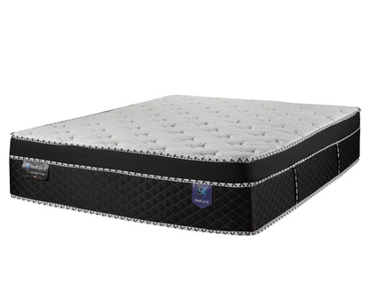 Modern Plush Mattress