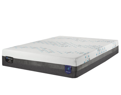 Oasis 12" (P/C) Mattress